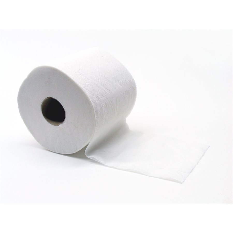 TISSUE,TOILET PAPER 2 PLY CASE EVERSOFT (CS96 ROLL)